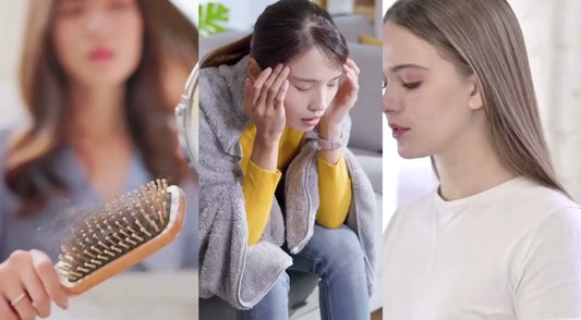 Electric Scalp Massager